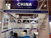 銀橋閃耀印尼國(guó)際化工展，拓展海外市場(chǎng)新征程