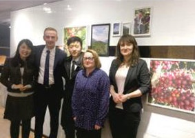 Witness of foreign cooperative partners